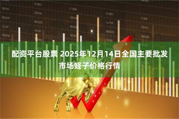 配资平台股票 2025年12月14日全国主要批发市场蛏子价格行情