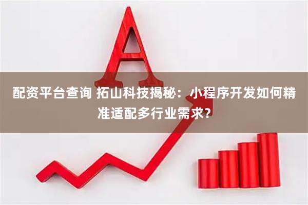 配资平台查询 拓山科技揭秘：小程序开发如何精准适配多行业需求？
