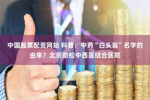 中国股票配资网站 科普：中药“白头翁”名字的由来？北京劲松中西医结合医院