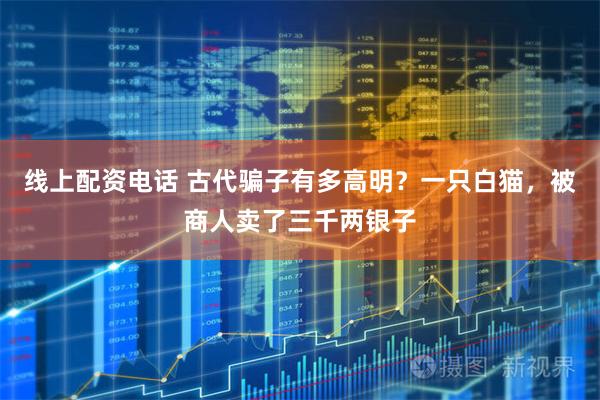 线上配资电话 古代骗子有多高明？一只白猫，被商人卖了三千两银子