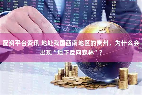 配资平台资讯 地处我国西南地区的贵州，为什么会出现“地下反向森林”？